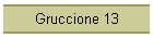 Gruccione 13