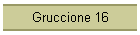 Gruccione 16