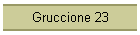 Gruccione 23
