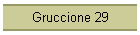 Gruccione 29