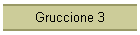 Gruccione 3