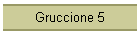 Gruccione 5