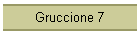 Gruccione 7