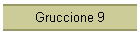 Gruccione 9