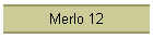 Merlo 12
