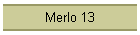 Merlo 13