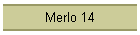 Merlo 14