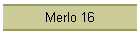 Merlo 16