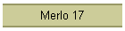 Merlo 17