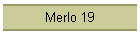 Merlo 19