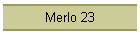 Merlo 23