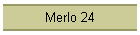 Merlo 24