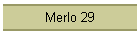Merlo 29