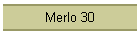 Merlo 30