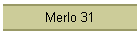 Merlo 31