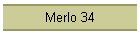 Merlo 34