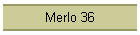 Merlo 36