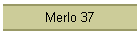 Merlo 37