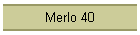 Merlo 40