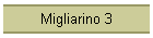 Migliarino 3