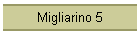 Migliarino 5