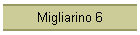 Migliarino 6