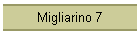 Migliarino 7