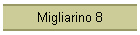 Migliarino 8