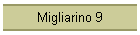 Migliarino 9
