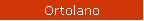 Ortolano