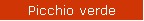 Picchio verde