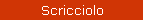 Scricciolo