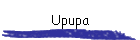 Upupa