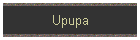 Upupa
