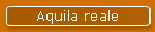 Aquila reale