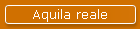 Aquila reale