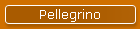 Pellegrino