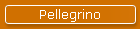 Pellegrino