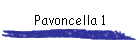 Pavoncella 1