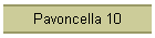 Pavoncella 10