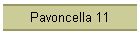 Pavoncella 11
