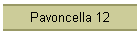 Pavoncella 12