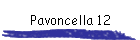 Pavoncella 12