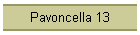 Pavoncella 13