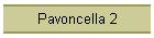 Pavoncella 2