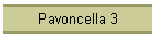 Pavoncella 3