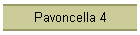 Pavoncella 4