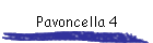 Pavoncella 4