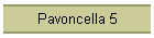 Pavoncella 5