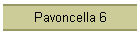 Pavoncella 6
